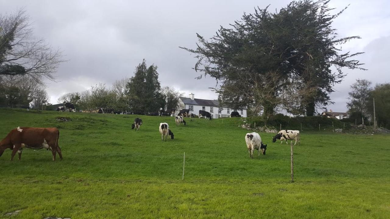 Gortamullen House, Kenmare Exterior foto